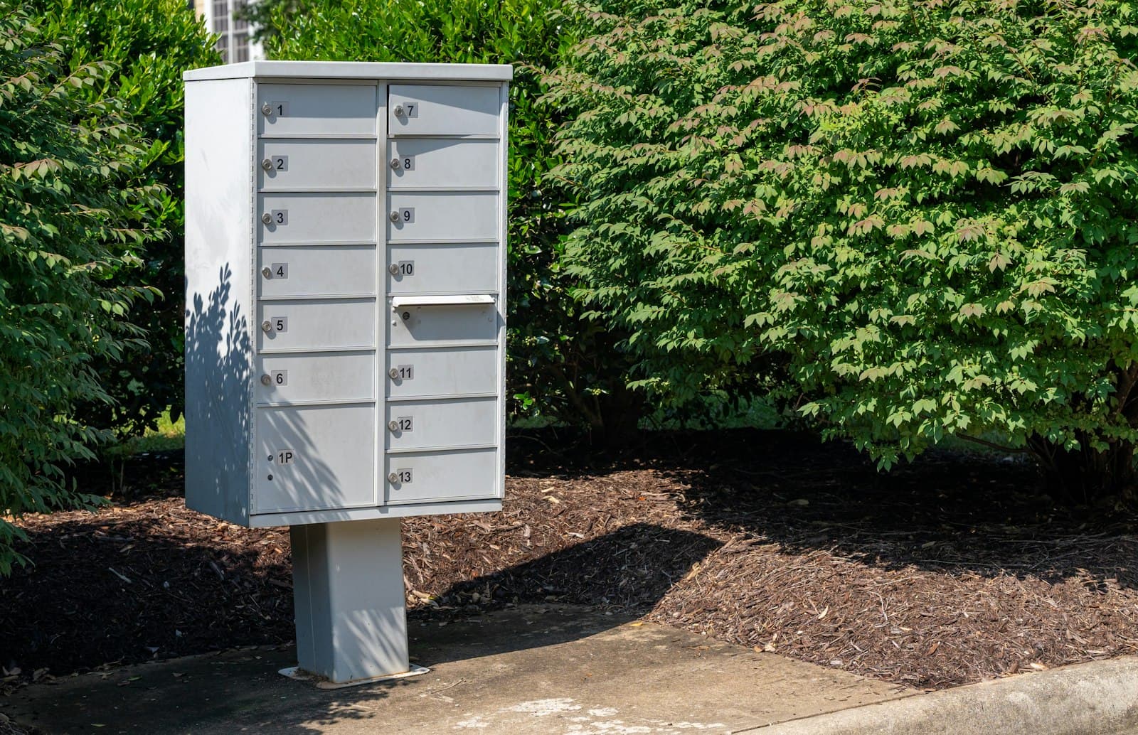 White community cluster mailbox on a post in a landscaped neighborhood island